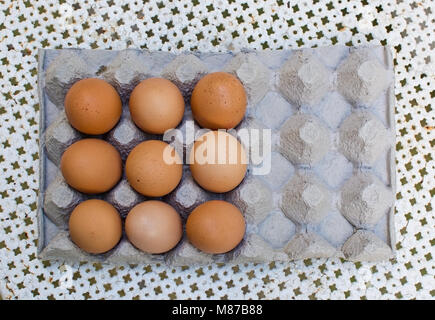 Nove marrone fresco Uova in cartone da sopra Foto Stock