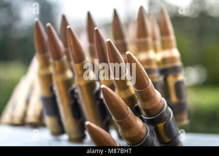 Professionisti di alto calibro Bullet cinghia Foto Stock