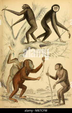 Edinburgh ufficiale di storia naturale e delle scienze fisiche (1835) (21155211992) Foto Stock