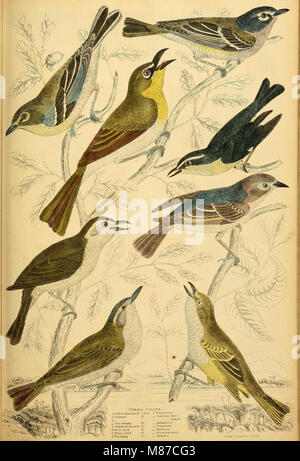 Edinburgh ufficiale di storia naturale e delle scienze fisiche (1835) (21155353322) Foto Stock