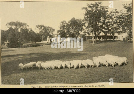 Agricoltura efficace; un libro di testo per le scuole americane (1919) (21171430062) Foto Stock