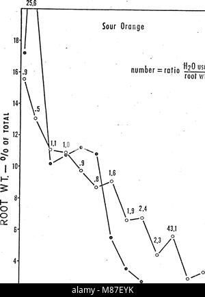 Effetto di profondità di radicamento di agrumi sulla struttura di radice e di assorbimento di acqua. (1974) (21172292422) Foto Stock