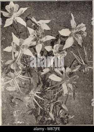 Dreer's 72a edizione annuale giardino prenota - 1910 (1910) (14776909254) Foto Stock