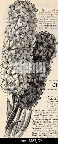 Dreer d'autunno - Catalogo 1896 lampadine, piante, semi (1896) (20993259572) Foto Stock