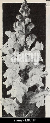 Dreer's garden prenota 1939 - 101 anni di qualità Dreer semi vegetali lampadine (1939) (21028665865) Foto Stock