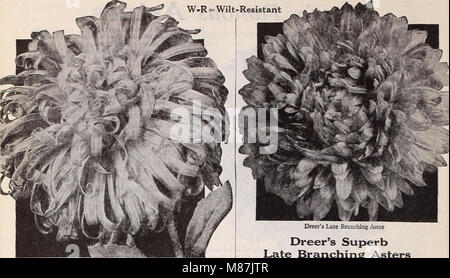 Dreer's garden prenota 1939 - 101 anni di qualità Dreer semi vegetali lampadine (1939) (21028674105) Foto Stock