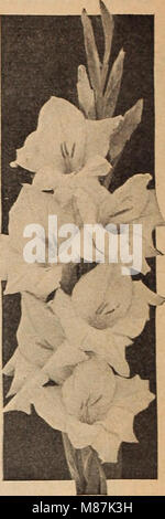 Dreer del catalogo all'ingrosso per fiorai e giardinieri di mercato - 1942 inverno primavera estate (1942) (20432110323) Foto Stock