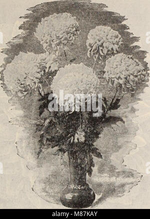 Dreer all'ingrosso Listino prezzi - Henry A. Dreer. (21055533955) Foto Stock