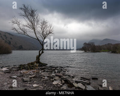 Llyn Padarn e vista verso Snowdon, Llanberis, Parco Nazionale di Snowdonia, Gwynedd, Galles Foto Stock