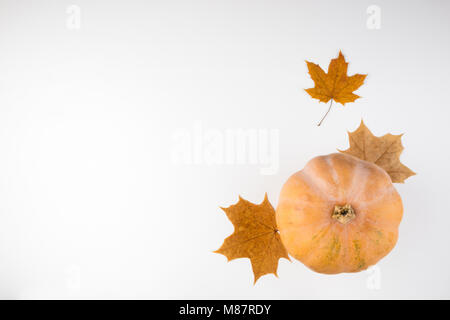 Autunno sfondo. Di zucca e foglie su sfondo bianco. La Giornata del Ringraziamento e scheda di Halloween. Vista superiore, spazio di copia Foto Stock