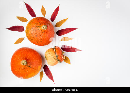 Autunno sfondo. Zucche e lascia in bianco. La Giornata del Ringraziamento e lo sfondo di Halloween. Lay piatto. Vista superiore, spazio di copia Foto Stock