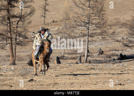 Il mongolo uomo che indossa un lupo Giacca pelle, in sella al suo cavallo in una steppa nel nord della Mongolia Foto Stock