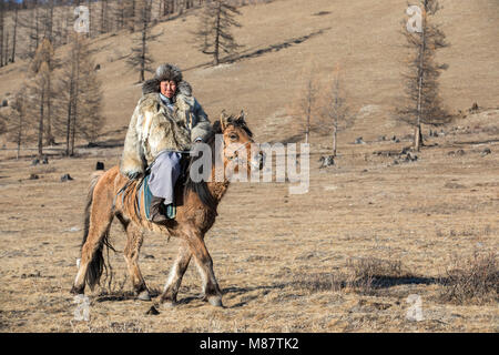 Il mongolo uomo che indossa un lupo Giacca pelle, in sella al suo cavallo in una steppa nel nord della Mongolia Foto Stock