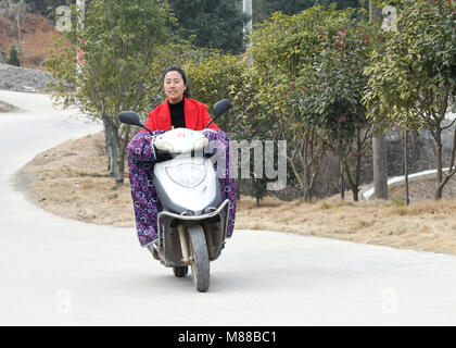 (180316) -- Pechino, 16 marzo 2018 (Xinhua) -- Cheng Ju cavalca un ciclomotore elettrico presso il dashi in villaggio della contea di Chongyang nella città di Xianning, centrale cinese della provincia di Hubei, 11 febbraio, 2018. Cheng Ju, nato nel 1990, proviene da Dashi villaggio della contea di Chongyang nella città di Xianning, centrale cinese della provincia di Hubei. In 2014, lei ha dato fino ad alta lavoro a pagamento nel sud della Cina di Guangzhou e restituito alla sua città natale per lavorare come un villaggio segretario di partito. Cheng è di nuovo lavoro ha dovuto confrontarsi con sfide come il dashi in villaggio era una volta ampiamente noto indigenza village. Negli ultimi tre anni ha portato la Foto Stock