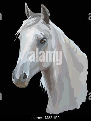 Ritratto colorato di bianco Arabian Horse. Testa di cavallo in profilo isolato illustrazione vettoriale su sfondo nero Illustrazione Vettoriale