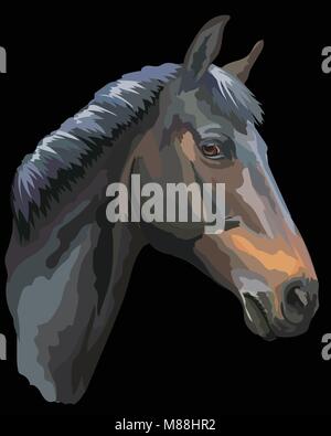 Ritratto colorato di nero cavallo Trakehner. Testa di cavallo in profilo isolato illustrazione vettoriale su sfondo nero Illustrazione Vettoriale