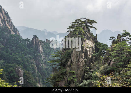 Giallo Misty Mountains (Huangshan), provincia di Anhui, Cina Foto Stock