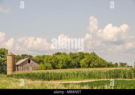 Silo di Nizza e il vecchio fienile di supervisionare un campo di mais contro uno sfondo di cumulus nubi in un cielo blu Foto Stock