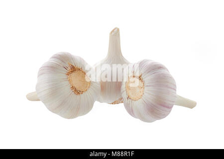 Testa di aglio su sfondo bianco isolato Foto Stock