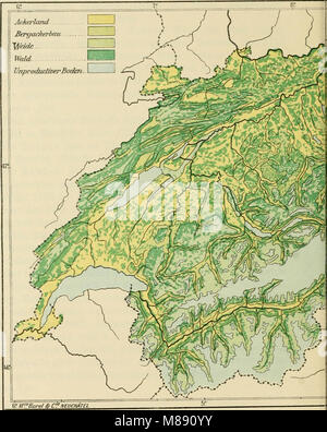 Die forstlichen Verhältnisse der Schweiz (1914) (14598335717) Foto Stock