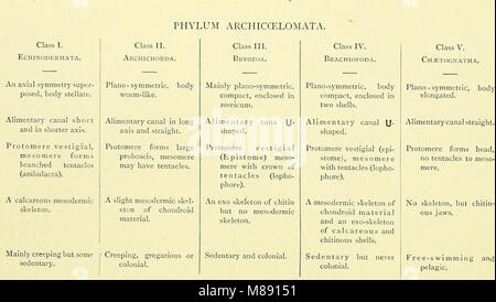 "Elementary Text-book of Zoology" (1901) fornisce una conoscenza di base della biologia animale, coprendo argomenti come la classificazione, l'anatomia e la fisiologia di varie specie animali, studiati per studenti principianti di zoologia. Foto Stock