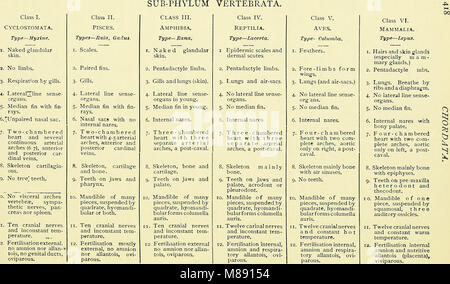 Il "Libro di testo elementare di Zoologia" (1901) fornisce una comprensione fondamentale della zoologia, che copre la classificazione degli animali, la fisiologia, il comportamento e gli habitat. Serve come risorsa introduttiva per gli studenti di biologia e scienze naturali. Foto Stock