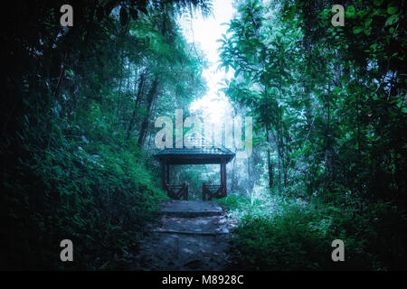 Misterioso paesaggio della foresta di nebbia con ponte di legno e il pavilion. Bellezza surreale di alberi esotici, canneto di arbusti a giungle tropicali. Fantasy n Foto Stock