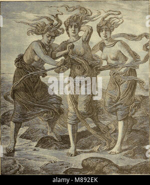 I Phorcidi sono un'opera notevole dell'artista Elihu Vedder, con illustrazioni che si concentrano sulle figure mitologiche dell'antica mitologia greca. L'opera esplora temi del destino e del destino, raffigurando le tre sorelle mitologiche, i Fati, che controllano la vita e la morte umana. Le illustrazioni dettagliate raffigurano queste potenti figure con un ricco simbolismo, sottolineando l'equilibrio tra l'inevitabile e l'agenzia umana. Foto Stock