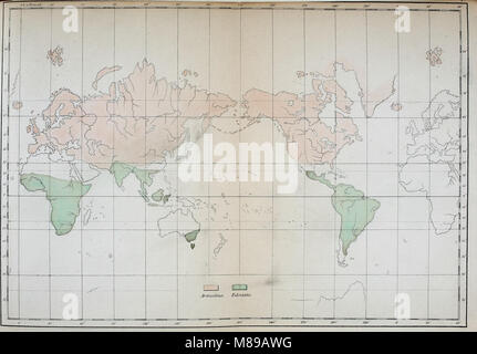 Die geographische verbreitung der säugthiere dargestellt (1844) (20737523960) Foto Stock