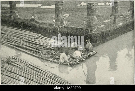 Combattimenti nelle Filippine; autentiche le fotografie originali (1899) (14597089690) Foto Stock