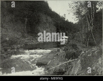 Relazione finale del gioco di Ontario e della commissione per la pesca, 1909-1911. - (1912) (14565404408) Foto Stock