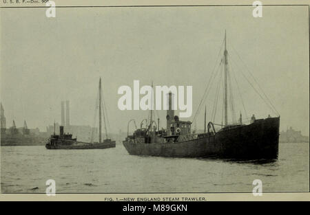 Industrie della Pesca degli Stati Uniti- Relazione della Divisione di Statistica e metodi di pesca per il 1920 (1921) (14785187663) Foto Stock