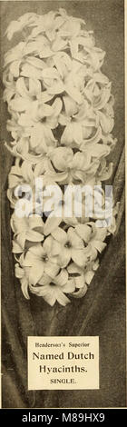 Fioristi' catalogo all'ingrosso. - Semi, lampadine, piante, &c (1911) (14597729849) Foto Stock
