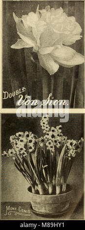 Fioristi' catalogo all'ingrosso. - Semi, lampadine, piante, &c (1911) (14761403566) Foto Stock