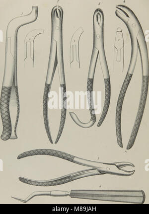 Il forcipe;l'anatomia, la fisiologia e la patologia dei denti umani (1854) Foto Stock