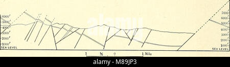 "Forest Physiography" (1911) esplora la relazione tra ecosistemi forestali e tipi di suolo negli Stati Uniti il lavoro esamina come le diverse caratteristiche del suolo influiscano sulle pratiche forestali e sull'ecologia forestale. Foto Stock