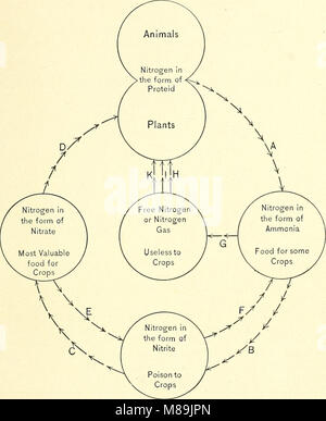 Il lavoro del 1911 *Forest Physiography* esamina la geografia fisica delle foreste negli Stati Uniti, con particolare attenzione ai tipi di suolo e alla loro rilevanza per le pratiche forestali. Esplora la relazione tra geologia, suolo ed ecosistemi forestali. Foto Stock