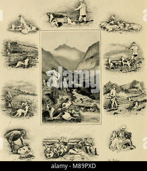 Selvaggina di penna e riprese-bozzetti - che illustra le abitudini, modalità di cattura, fasi del piumaggio e la hybirds e varietà che si verificano tra di loro (1894) (14563136319) Foto Stock