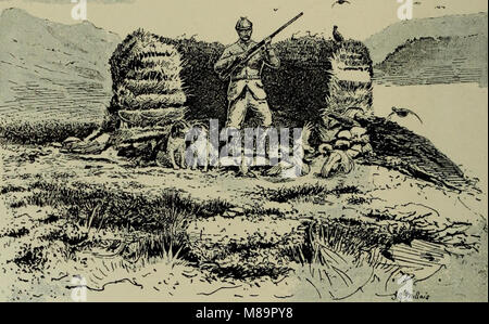 Selvaggina di penna e riprese-bozzetti - che illustra le abitudini, modalità di cattura, fasi del piumaggio e la hybirds e varietà che si verificano tra di loro (1894) (14565498299) Foto Stock