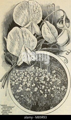 Giardino di fiori di campo e semi 1902 (1902) (14595840189) Foto Stock