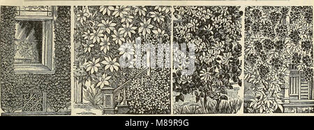 Giardino di fiori di campo e semi 1902 (1902) (14780176774) Foto Stock