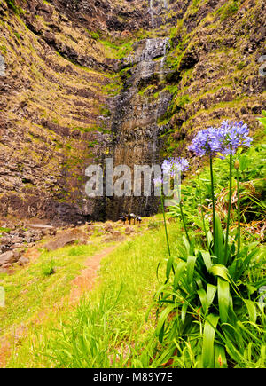 Cascata de Aveiro, cascata, Maia, Santa Maria Island, Azzorre, Portogallo Foto Stock