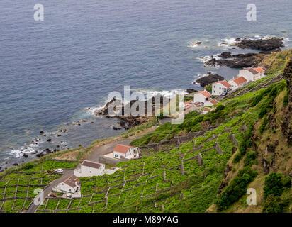 Vigneti di Maia, vista in elevazione, Santa Maria Island, Azzorre, Portogallo Foto Stock