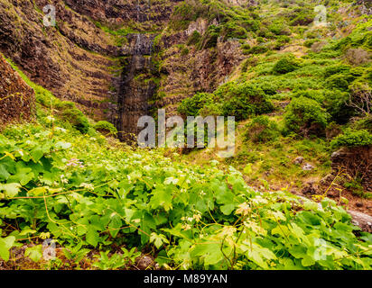 Cascata de Aveiro, cascata, Maia, Santa Maria Island, Azzorre, Portogallo Foto Stock