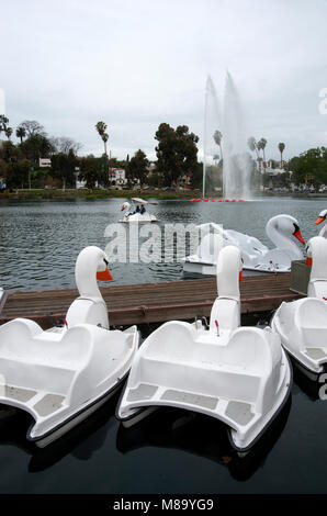 Swan barche a remi a Echo Park Lake a Los Angeles, CA Foto Stock