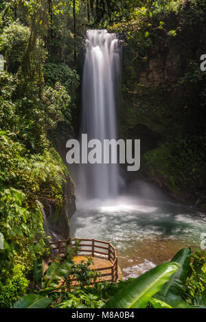 Nella foresta pluviale, una vista da sopra di una delle assordanti cascate e piattaforme di visualizzazione a La Paz Waterfall Gardens in Costa Rica. Foto Stock