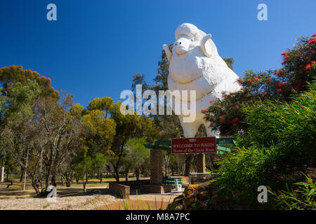 La Grande Ram, Wagin Australia Occidentale Foto Stock