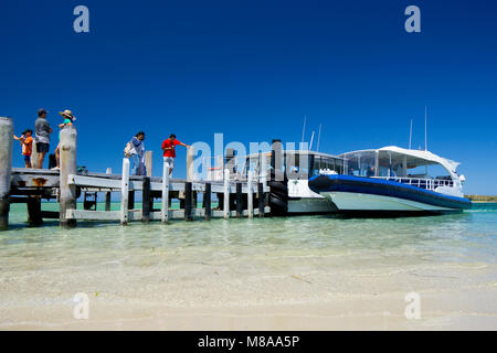 I turisti imbarco traghetti per l'isola dei pinguini, Shoalwater Islands Marine Park, Australia occidentale Foto Stock