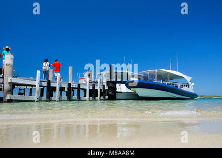 I turisti imbarco traghetti per l'isola dei pinguini, Shoalwater Islands Marine Park, Australia occidentale Foto Stock