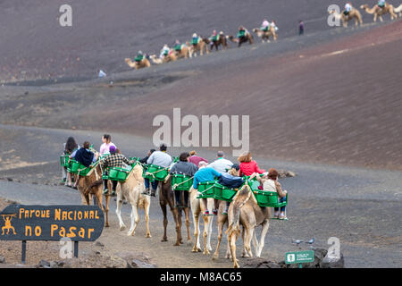 I turisti a partire di una corsa in cammello, Echadero de los Camellos nel Parque Nacional de Timanfaya, Parco Nazionale di Timanfaya, Lanzarote, Isole Canarie Foto Stock